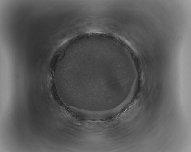 X0000114491303200910191223