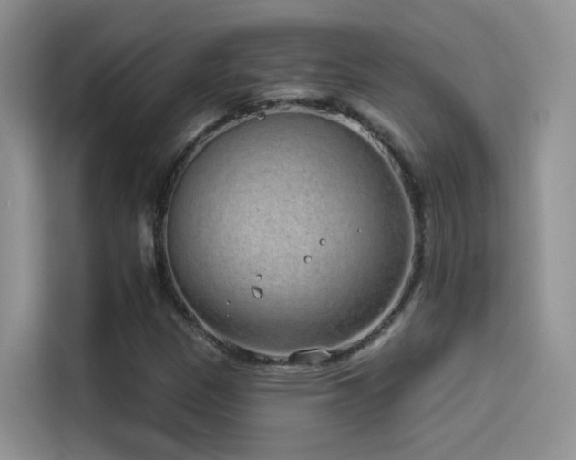 X0000114491305200910191223