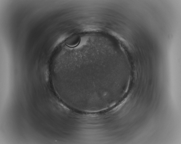 X0000114491306200910191223