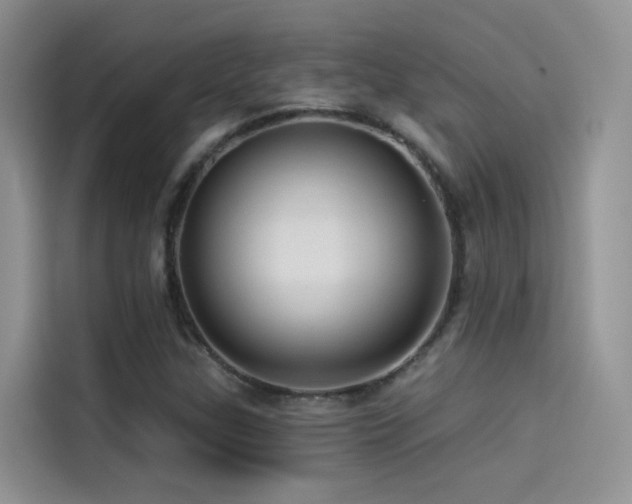 X0000114491307200910191223