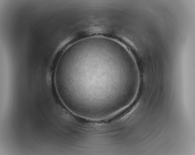 X0000114491309200910191223