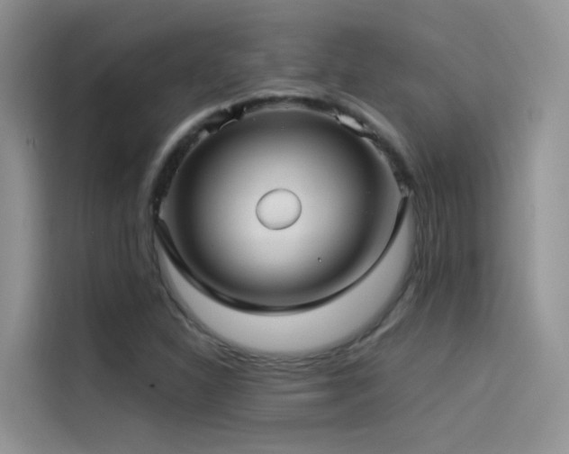 X0000114491310200910191223