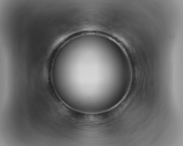 X0000114491311200910191223