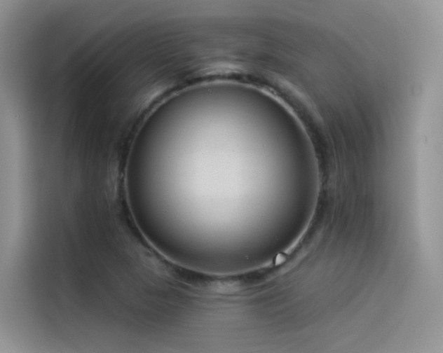 X0000114491313200910191223