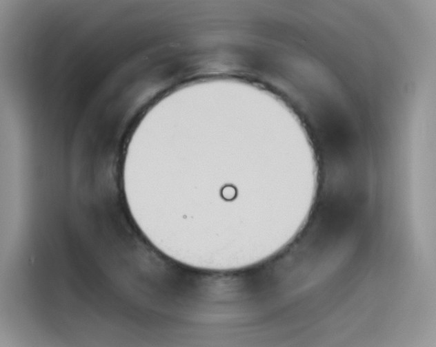 X0000114491314200910191223