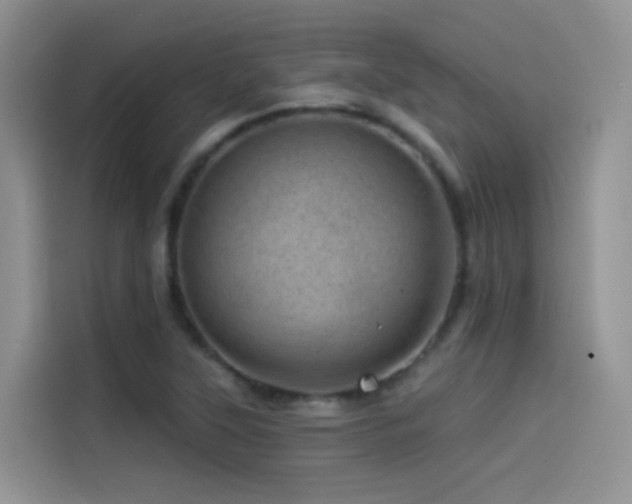 X0000114491315200910191223