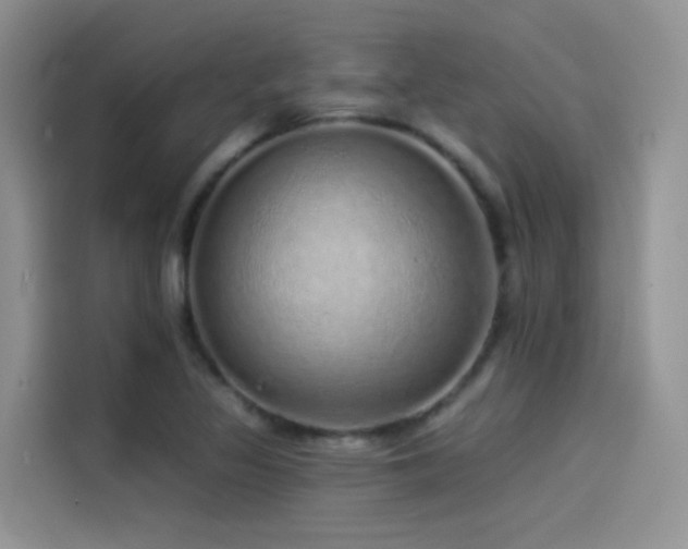 X0000114491317200910191223