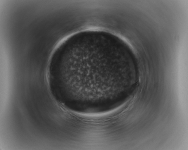X0000114491319200910191223