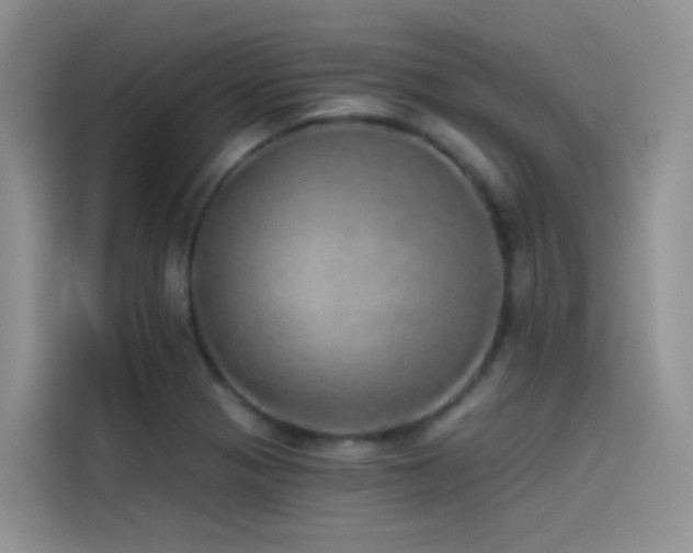 X0000114491321200910191223
