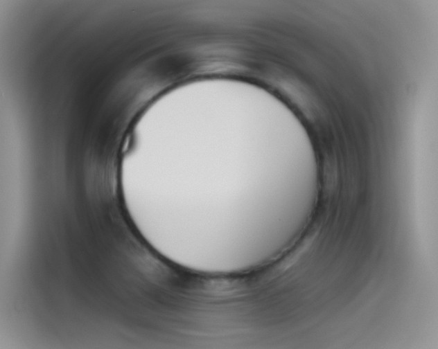 X0000114491322200910191223