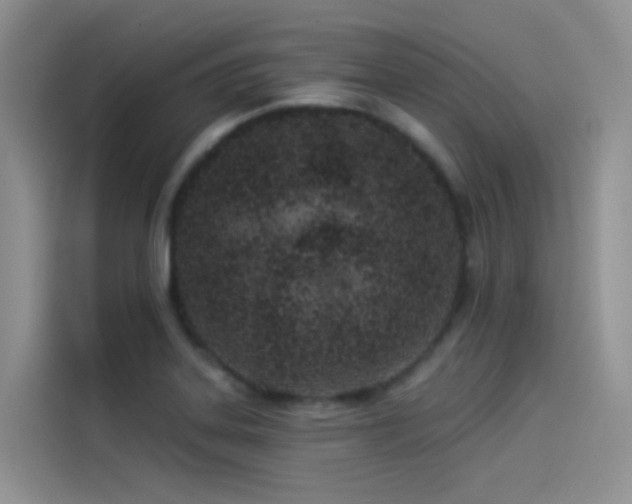 X0000114491323200910191223