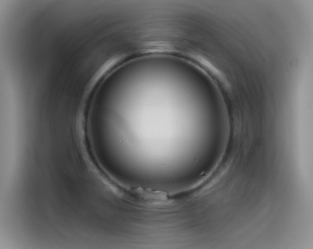 X0000114491325200910191223