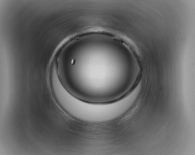 X0000114491326200910191223