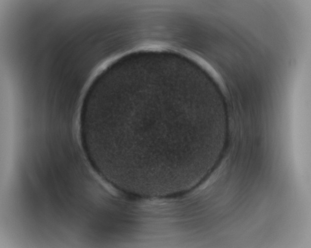 X0000114491327200910191223