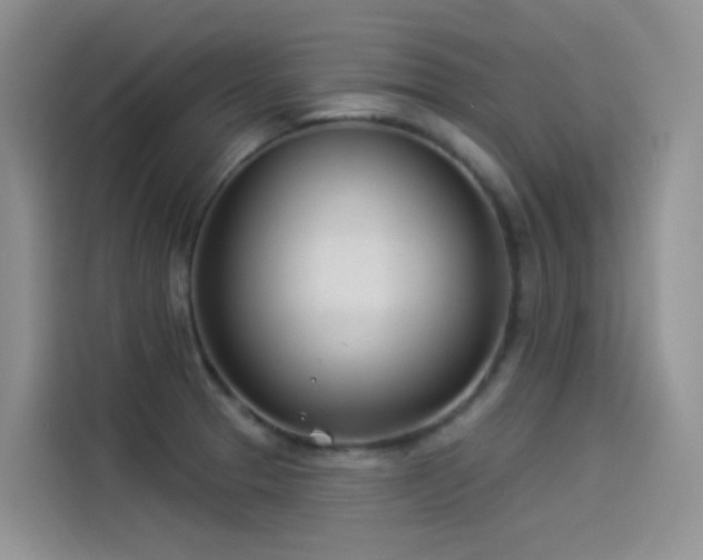 X0000114491329200910191223