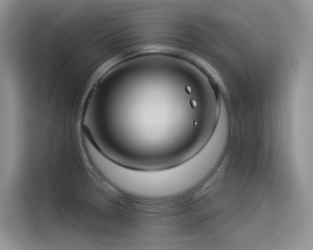 X0000114491330200910191223
