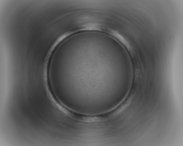 X0000114491331200910191223