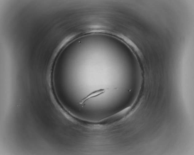X0000114491333200910191223
