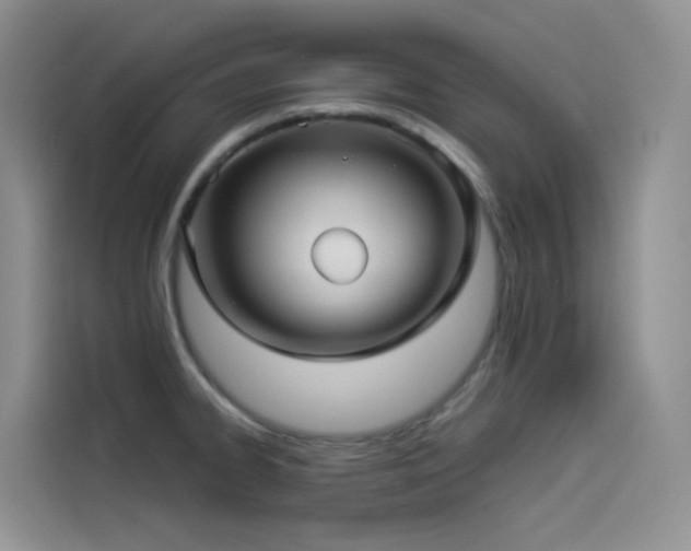 X0000114491334200910191223