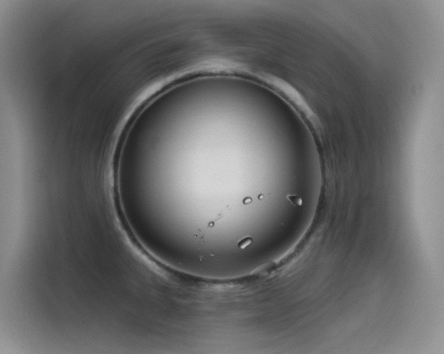 X0000114491335200910191223