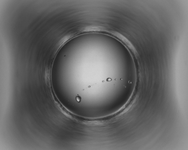 X0000114491337200910191223