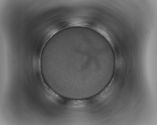 X0000114491338200910191223