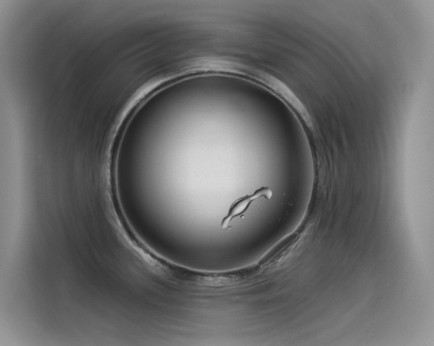 X0000114491339200910191223