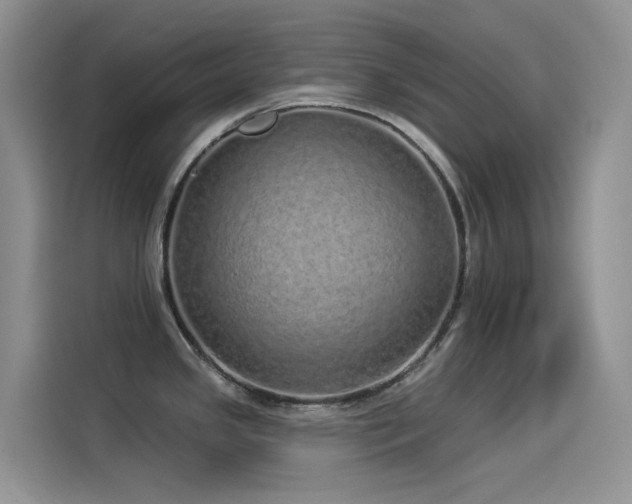 X0000114491341200910191223