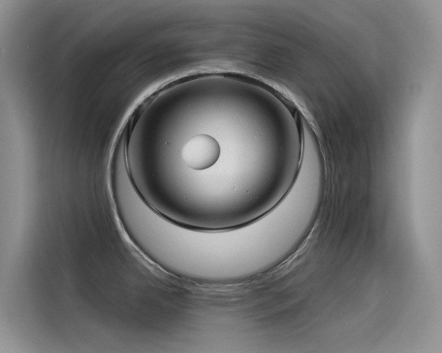 X0000114491342200910191223