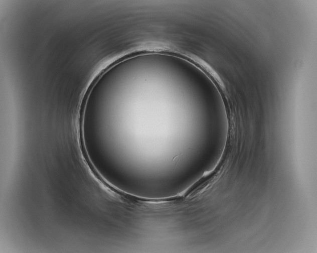 X0000114491343200910191223