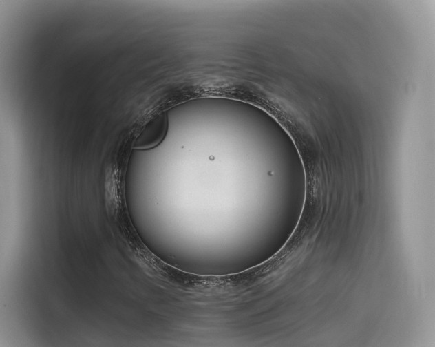X0000114491346200910191223