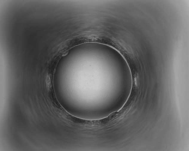 X0000114491347200910191223