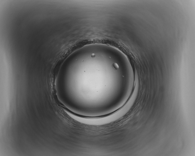 X0000114491348200910191223