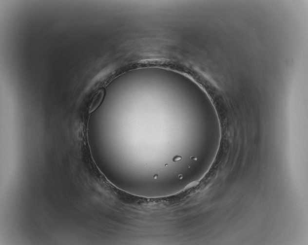 X0000114491351200910191222