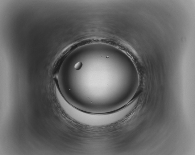 X0000114491352200910191222
