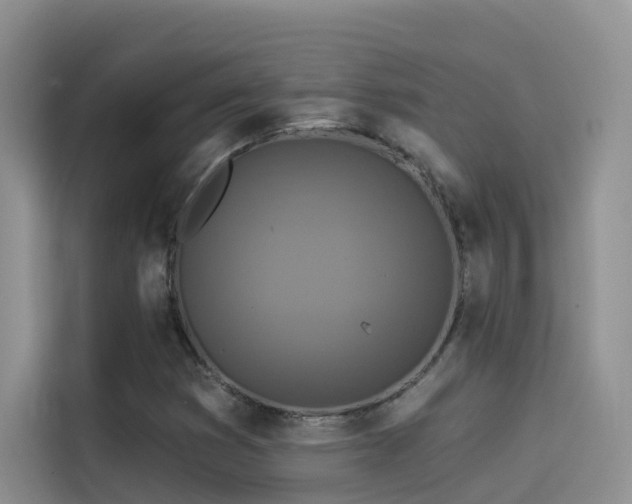 X0000114491353200910191222