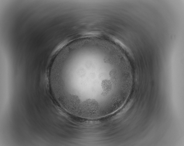 X0000114491354200910191222