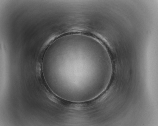X0000114491355200910191222
