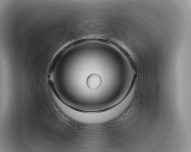 X0000114491356200910191222