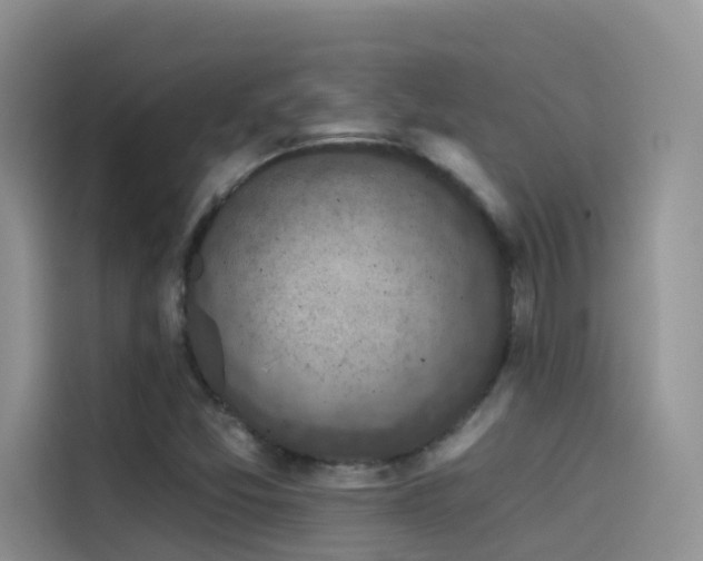 X0000114491357200910191222