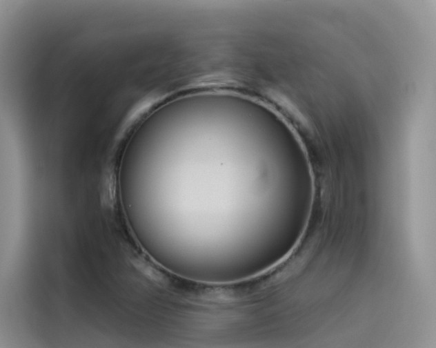 X0000114491358200910191222