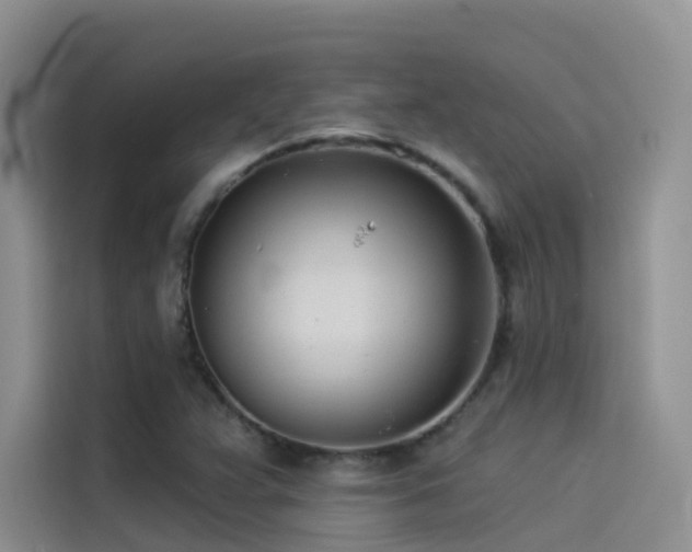X0000114491359200910191222