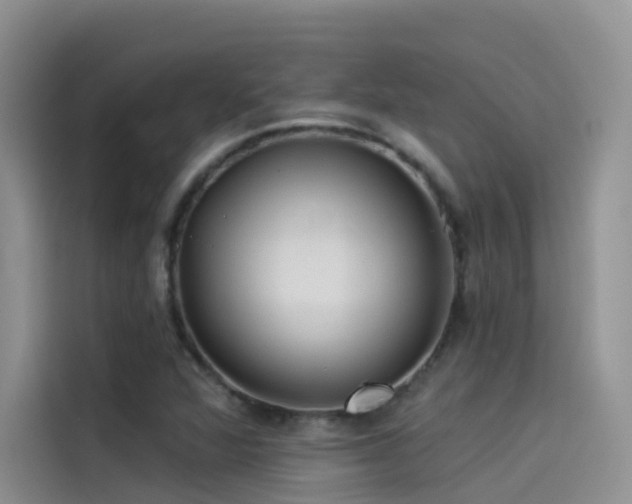 X0000114491360200910191222
