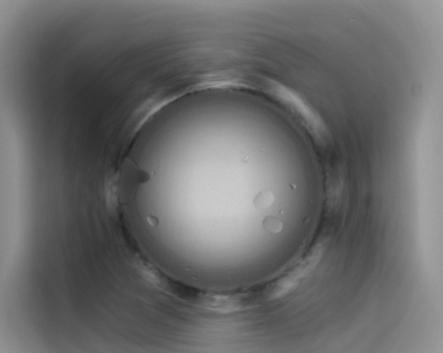 X0000114491361200910191222