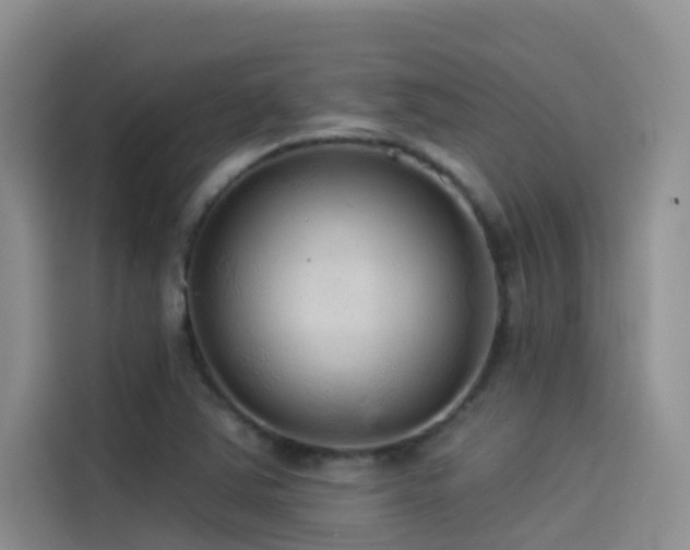 X0000114491363200910191222