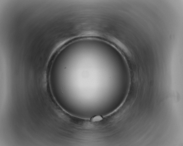 X0000114491364200910191222