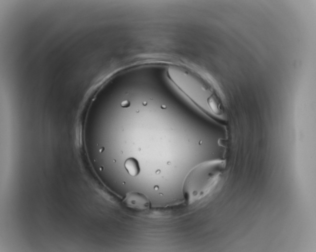 X0000114491365200910191222