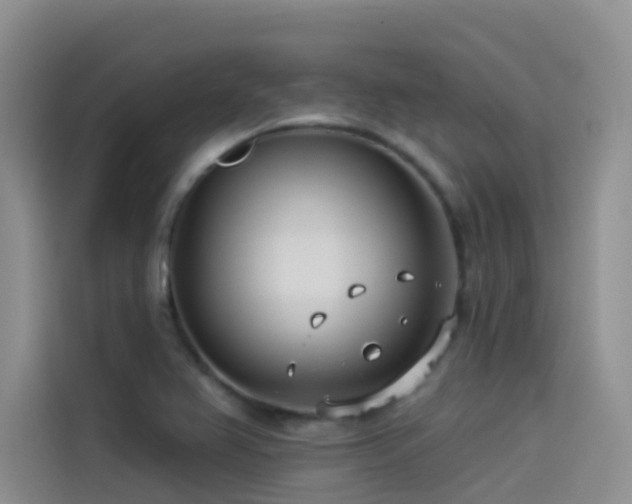 X0000114491367200910191222