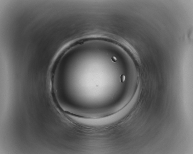 X0000114491368200910191222