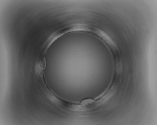 X0000114491369200910191222